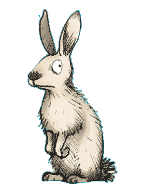 mh_rabbit_blue Matt Haig Evie Rabbit